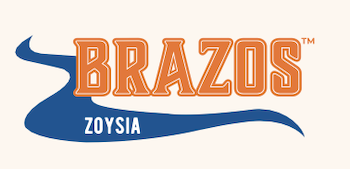 Brazos_Logo.png